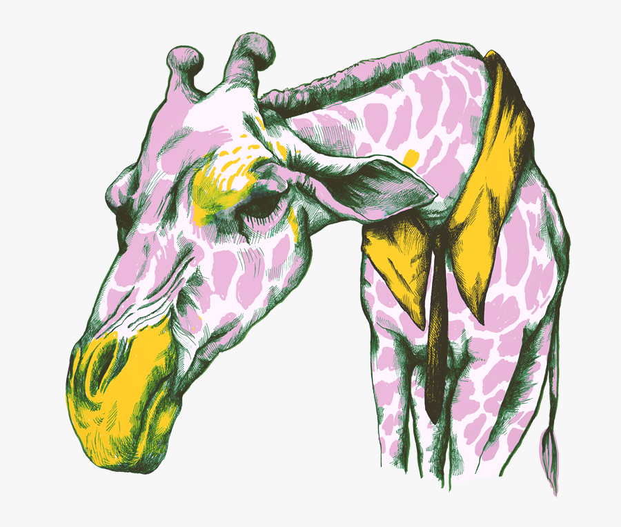 Illustration, Transparent Clipart