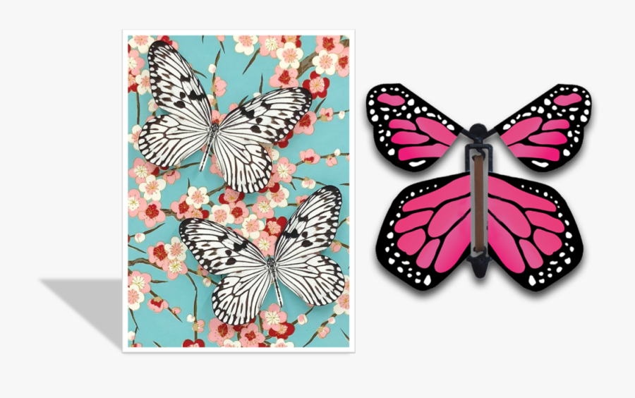 Cherry Blossom Clip Art, Transparent Clipart