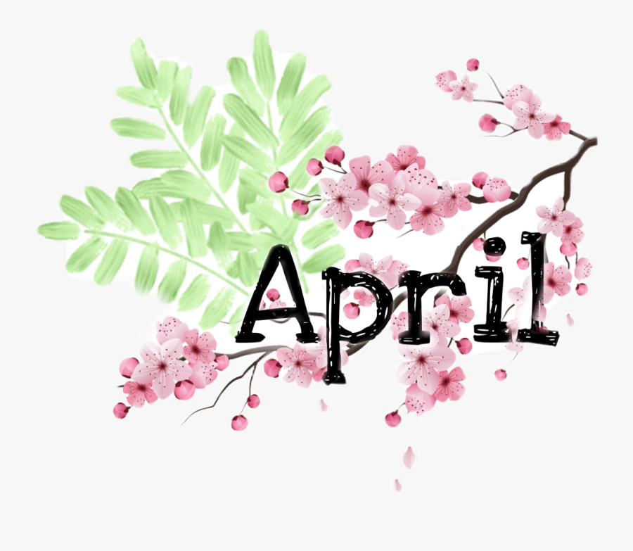 #cherry Blossom #leaves #april - Cherry Blossom, Transparent Clipart