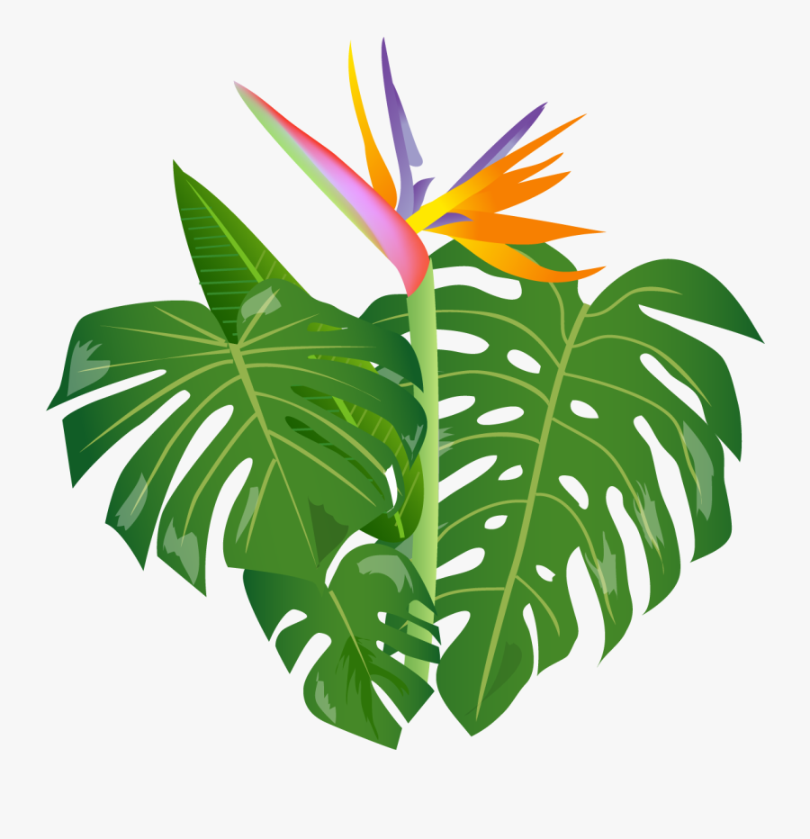 Jungle Leaf Png - Transparent Jungle Leaves Clipart, Transparent Clipart
