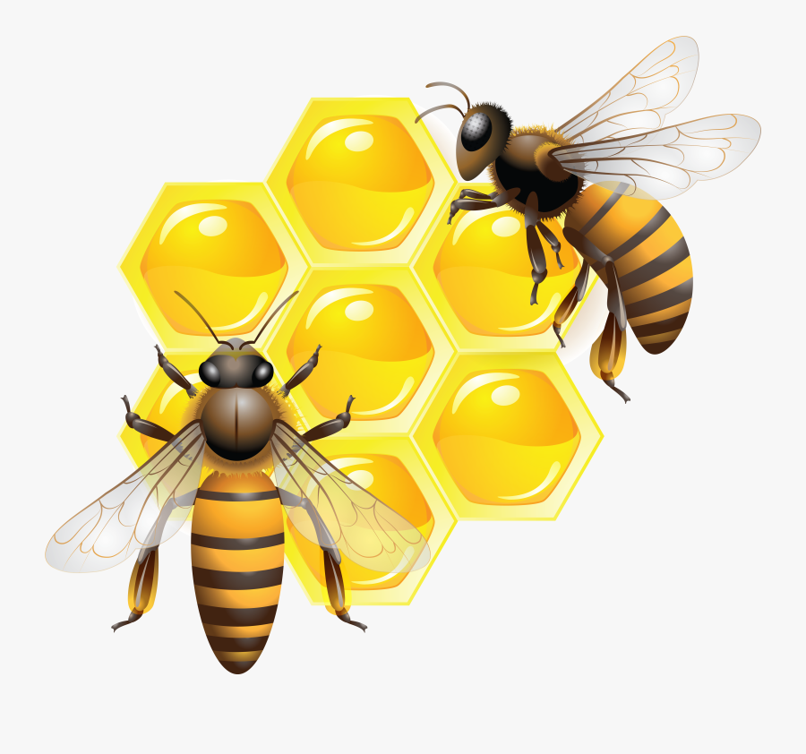 Honey Bee Clip Art - Transparent Background Honey Bee Png, Transparent Clipart