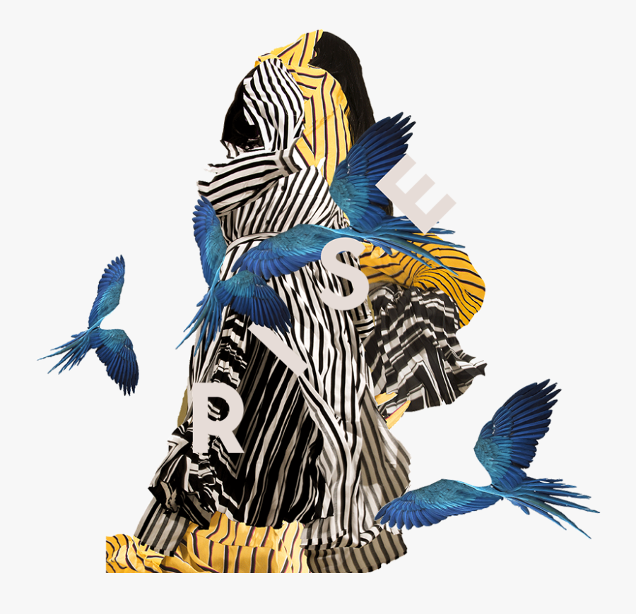 Illustration, Transparent Clipart