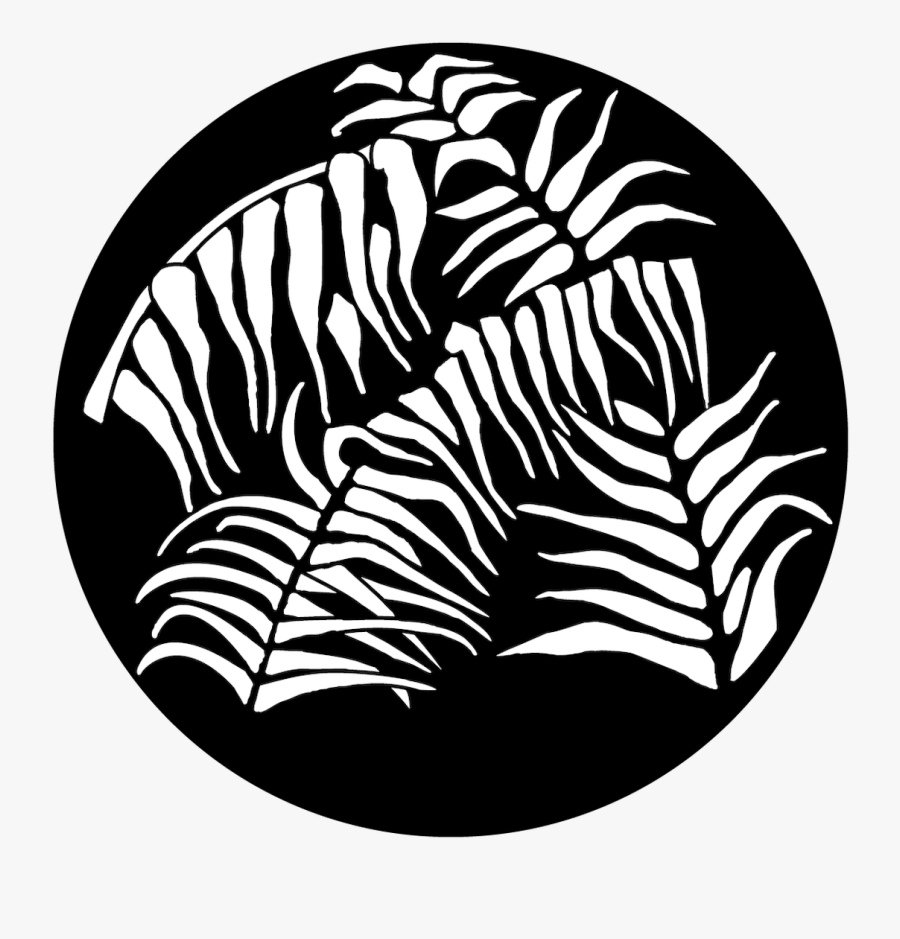 Apollo Foliage Jungle - Illustration, Transparent Clipart