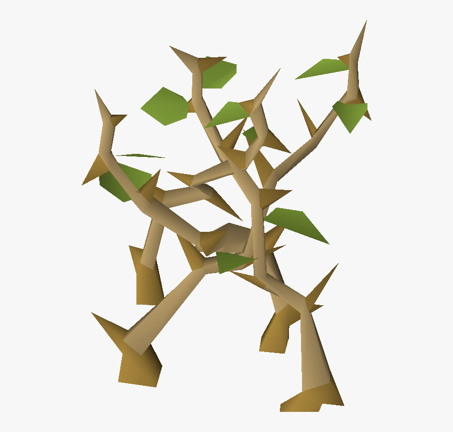 Craft, Transparent Clipart