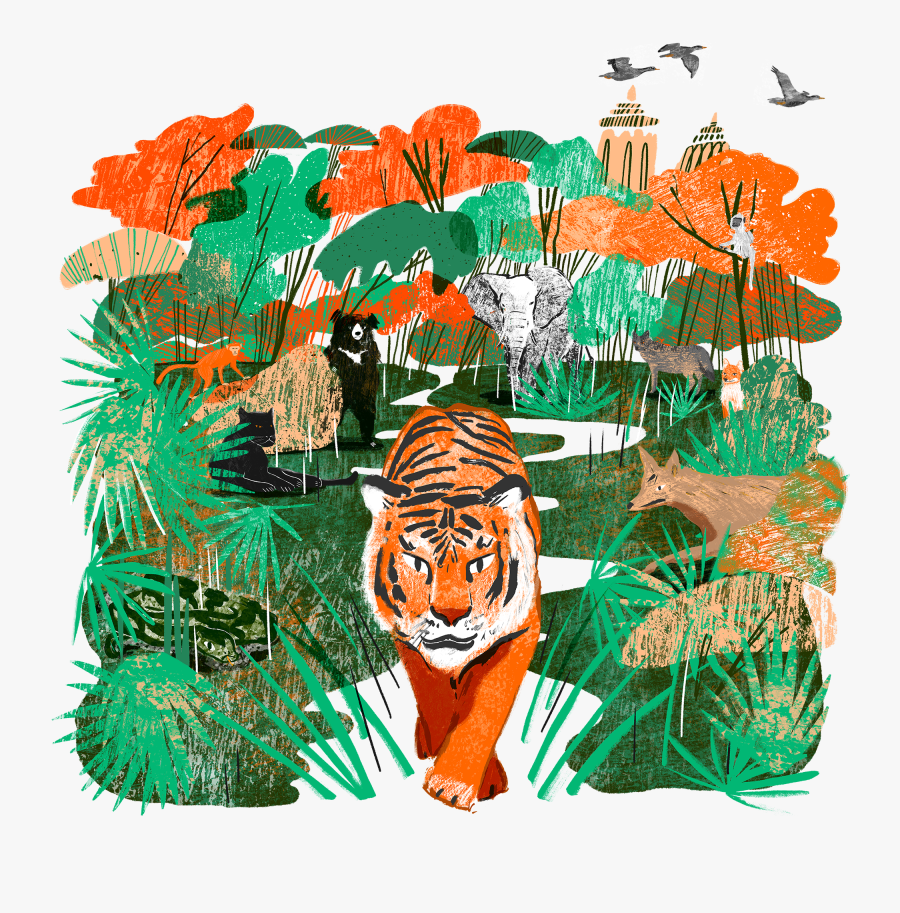 Real Jungle Book Animals, Transparent Clipart