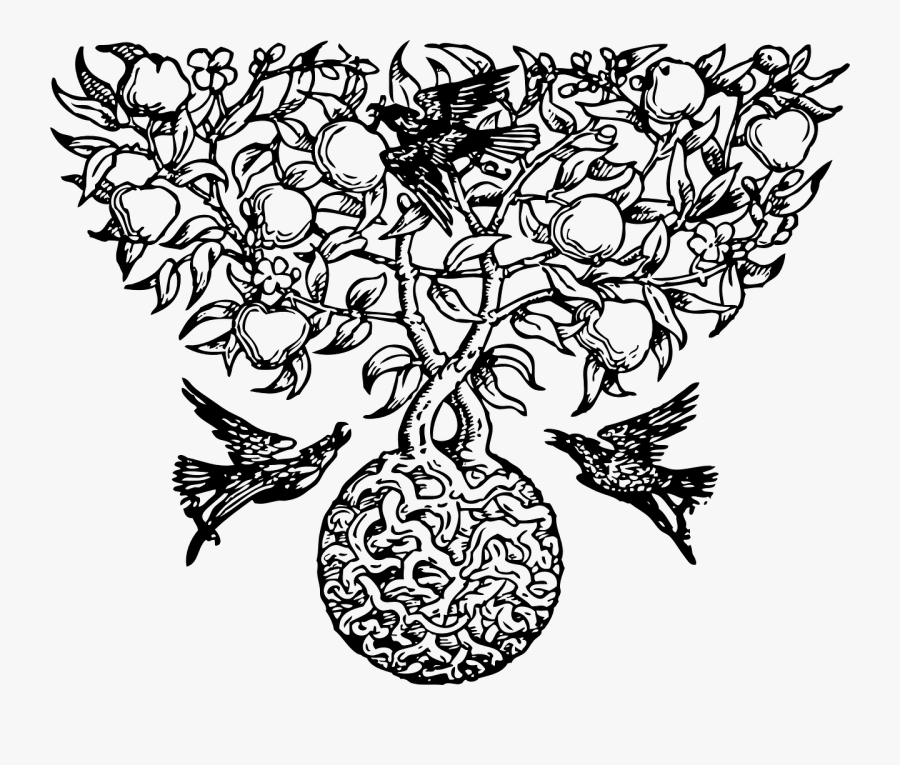 Celtic Tree Of Life, Transparent Clipart