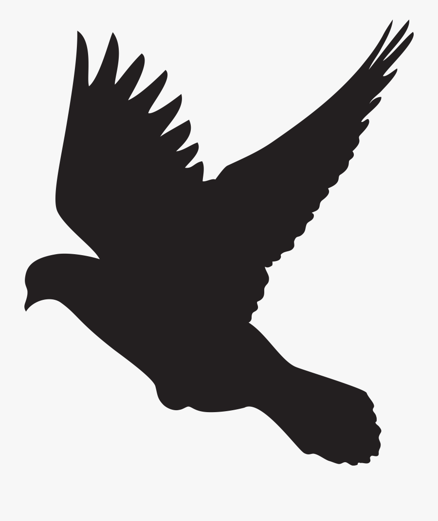 White Dove Clipart Silhouette Flying, Transparent Clipart