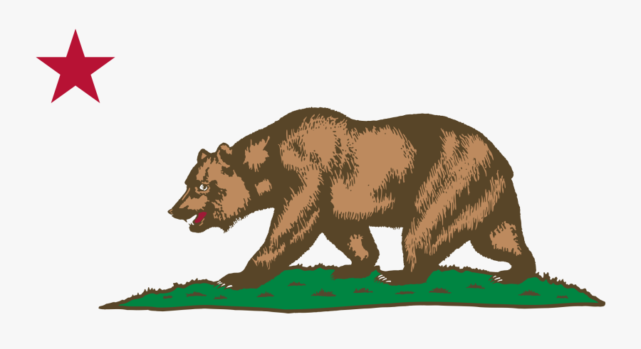 Wildlife,carnivoran,bear - California Grizzly Bear Clipart, Transparent Clipart