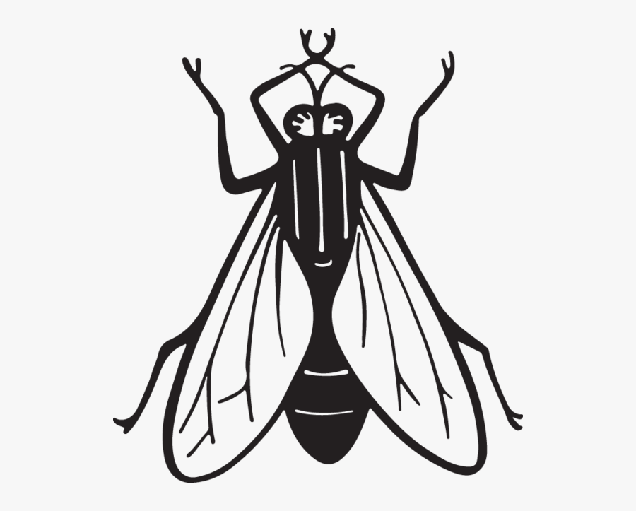 Fly Clipart Insect - Housefly Line Art, Transparent Clipart