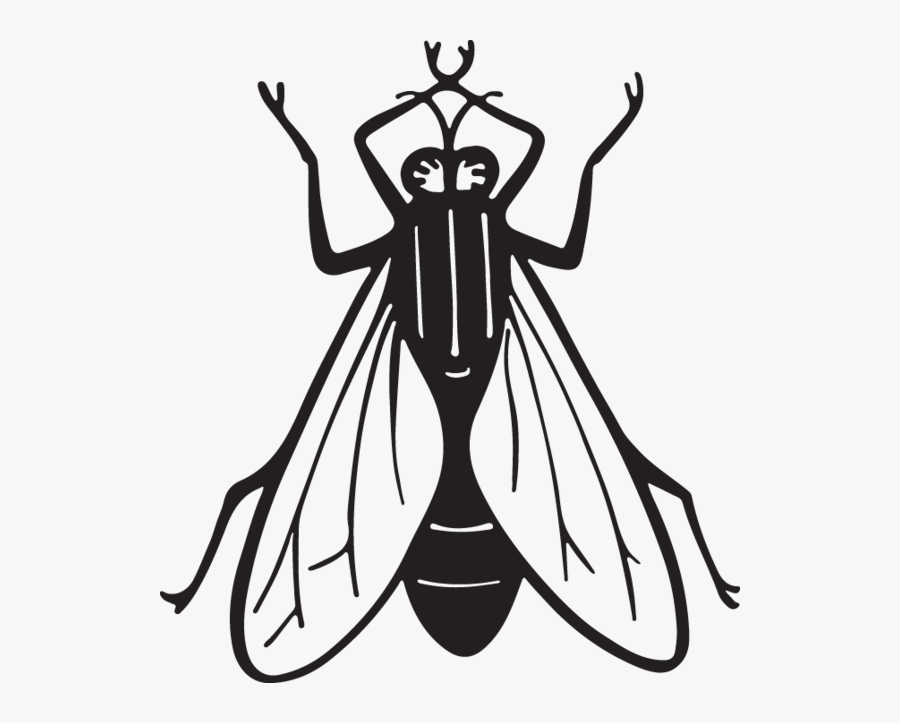 Fly Clipart Insect Housefly Line Art Free Transparent Clipart Clipartkey Fly Clipart Insect Housefly Line Art Free Transparent Clipart Clipartkey