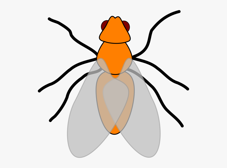 Clip Art, Transparent Clipart