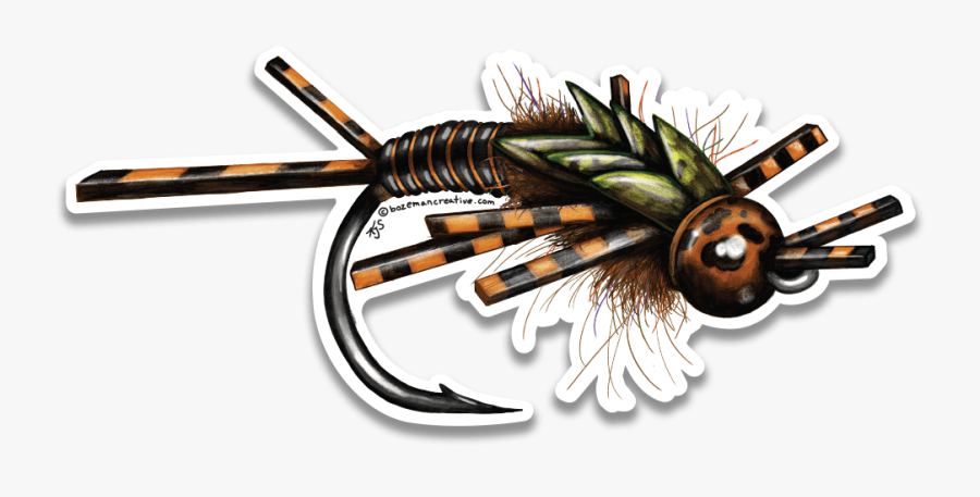 Bozeman Creative Stonefly Nymph Sketch Sticker - Stonefly Nymph, Transparent Clipart