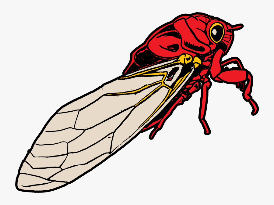 Cicada Clipart, Transparent Clipart