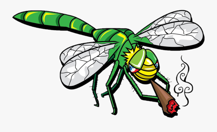 Insect,pest,clip Art,membrane Winged Insect,dragonflies, Transparent Clipart