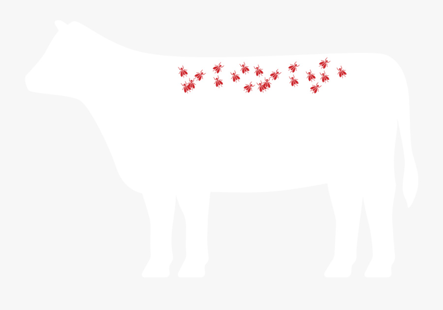 Image - Dairy Cow, Transparent Clipart