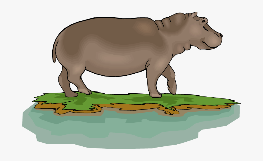Free Hippo Clipart - Pygmy Hippo Clipart, Transparent Clipart