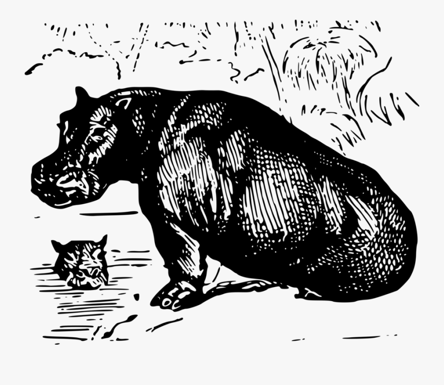 Illustration, Transparent Clipart