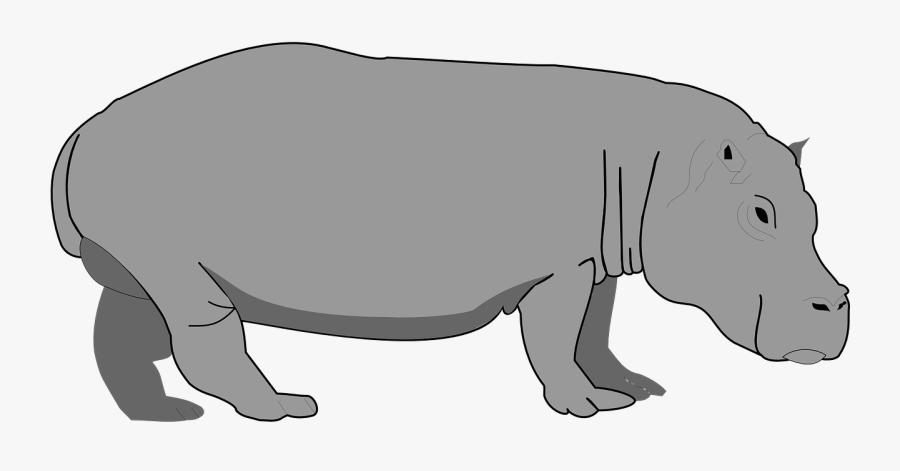 Transparent Background Hippo Clipart, Transparent Clipart