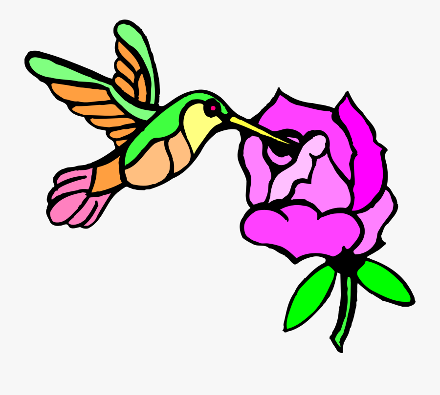 Draw Hummingbirds And Flower, Transparent Clipart
