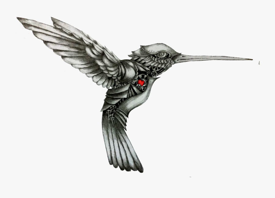 Hummingbird Drawing Tattoo Color - Mechanical Hummingbird Tattoo, Transparent Clipart