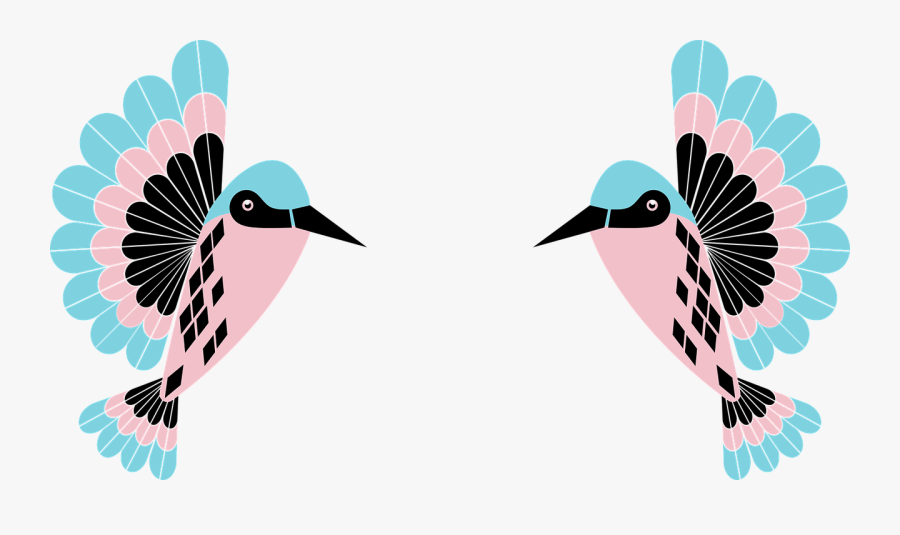 Hummingbird Birdie Birds Free Picture - Colibris Animadas Png, Transparent Clipart