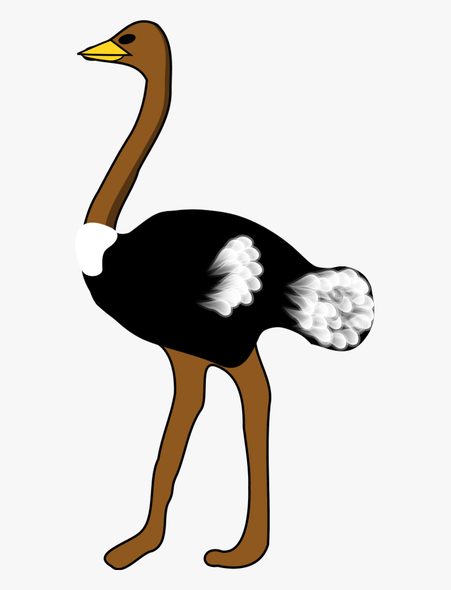 Vector Clip Art - Ostrich Clipart, Transparent Clipart