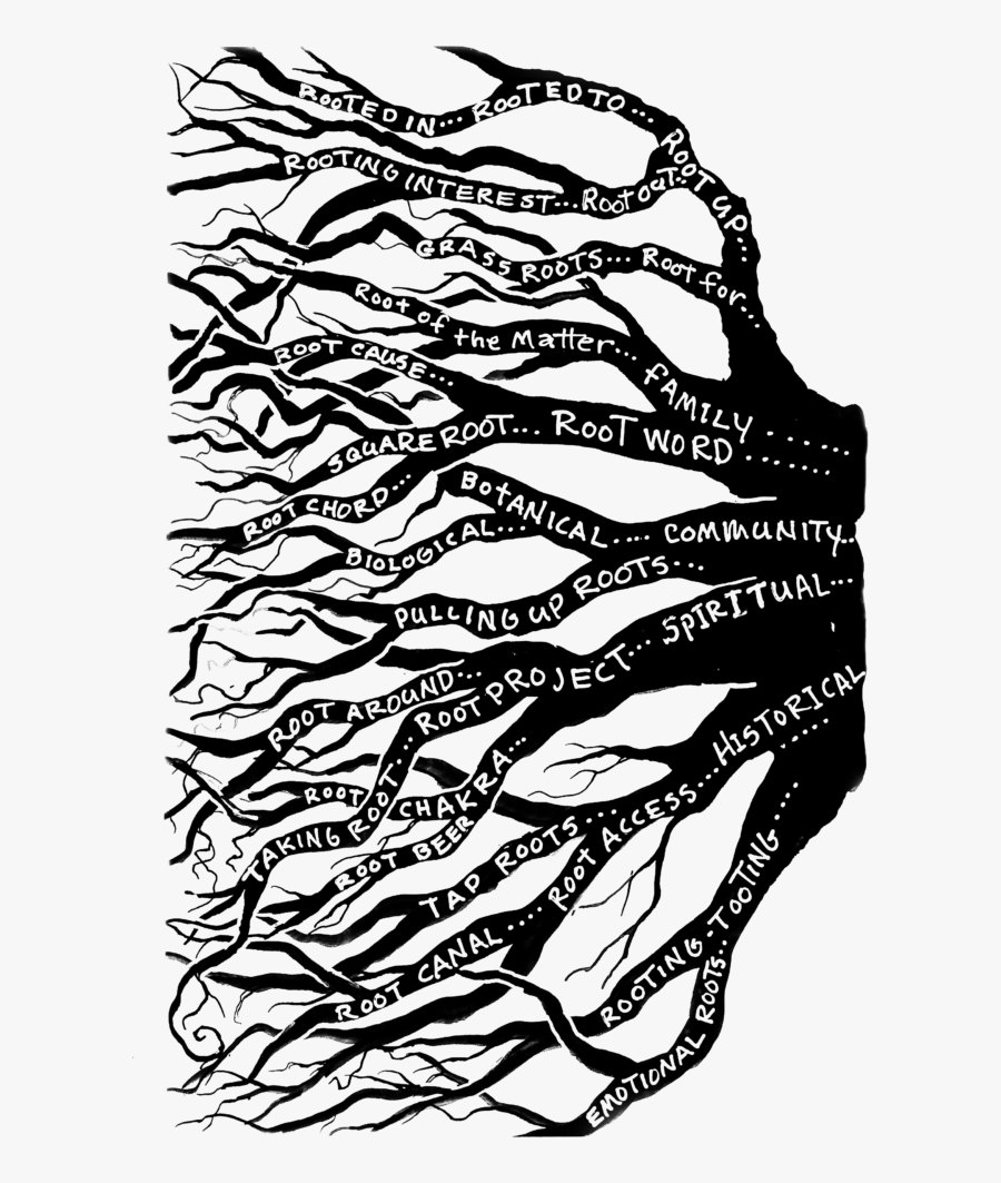 Root Art, Transparent Clipart