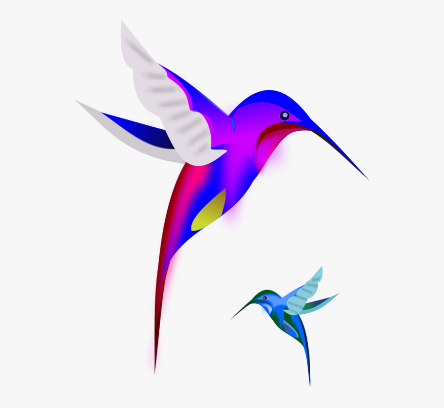 Colibri Birds Vector Clip Art - Hummingbird Clipart, Transparent Clipart