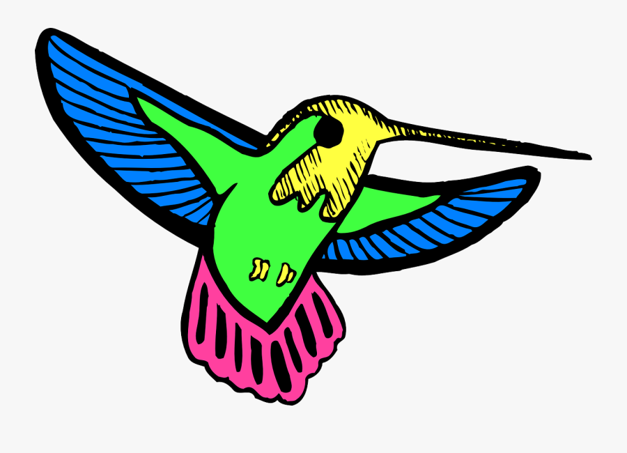 Bird Wings Hummingbird Free Picture - Hummingbird Colorful Cartoon, Transparent Clipart