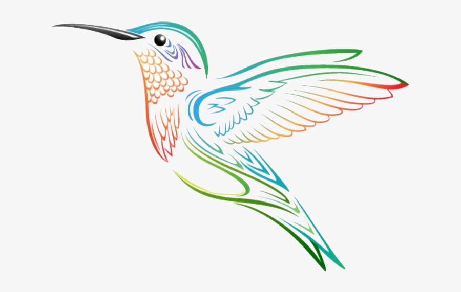 Hummingbird Tattoo Drawing, Transparent Clipart