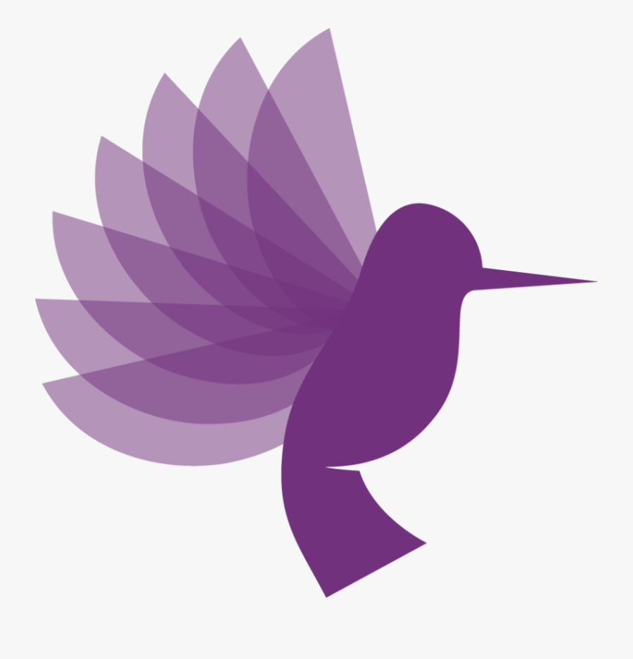 Hummingbird, Transparent Clipart