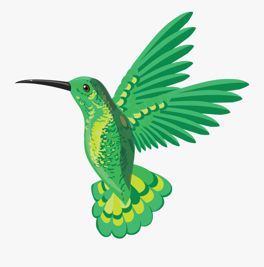 Hummingbird, Transparent Clipart