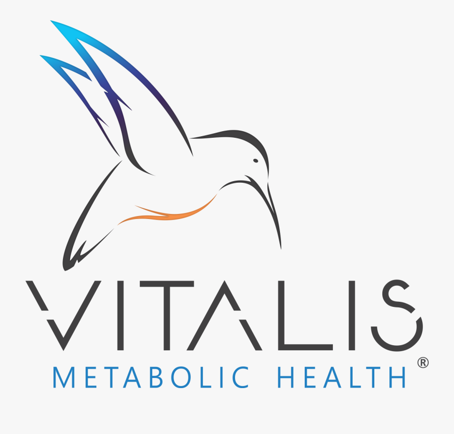 Forster S Tern, Transparent Clipart