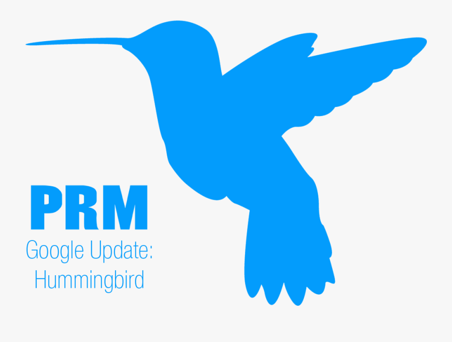 How Google Hummingbird Impacts Seo For Doctors - Hummingbird Silhouette, Transparent Clipart