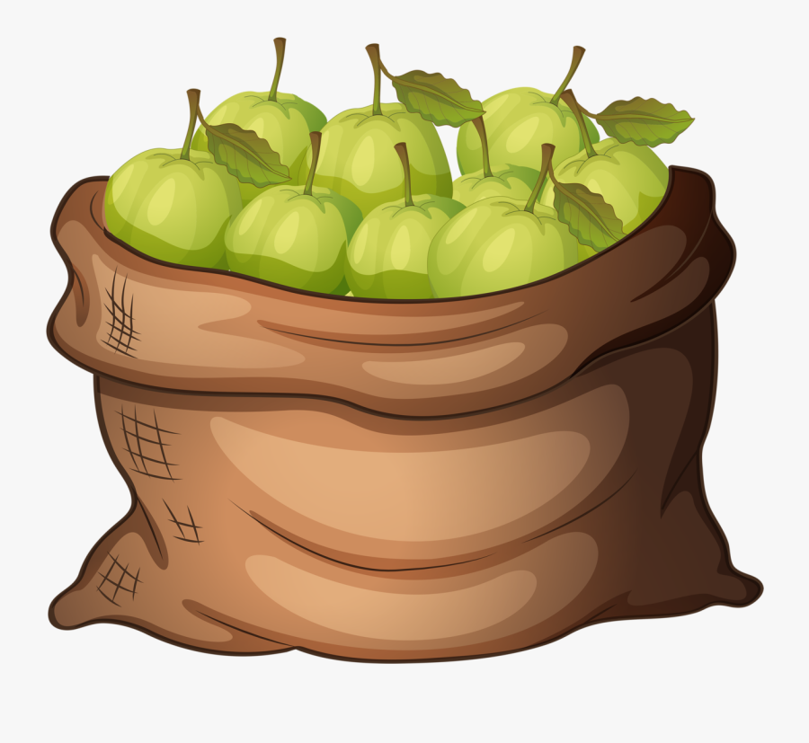 Clip Art Apples In A Bag - Guavas Clipart, Transparent Clipart