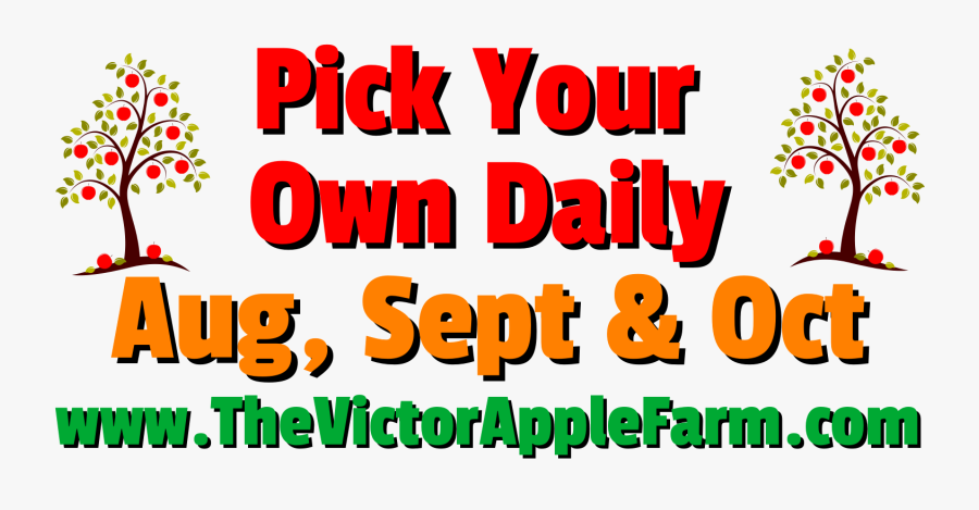 Ripley's Believe It Or Not! Odditorium, Transparent Clipart