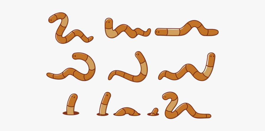 Minhoca Vetor Png, Transparent Clipart