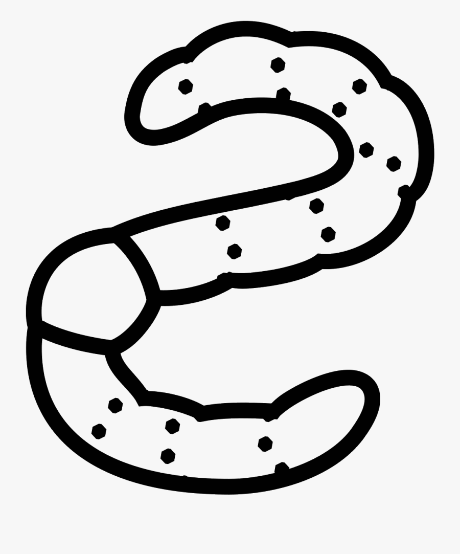 Worm Vector - Line Art, Transparent Clipart