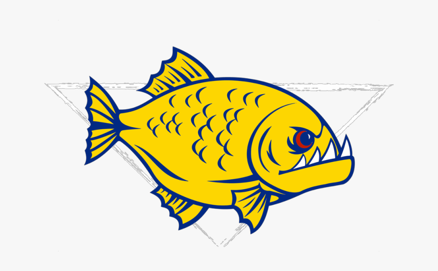 Rumblefish Underwater Hockey Club - Coral Reef Fish, Transparent Clipart