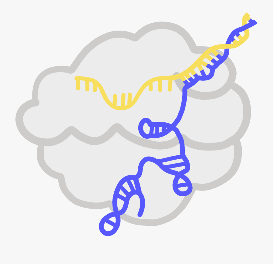 Glossary Innovative Genomics Institute, Transparent Clipart