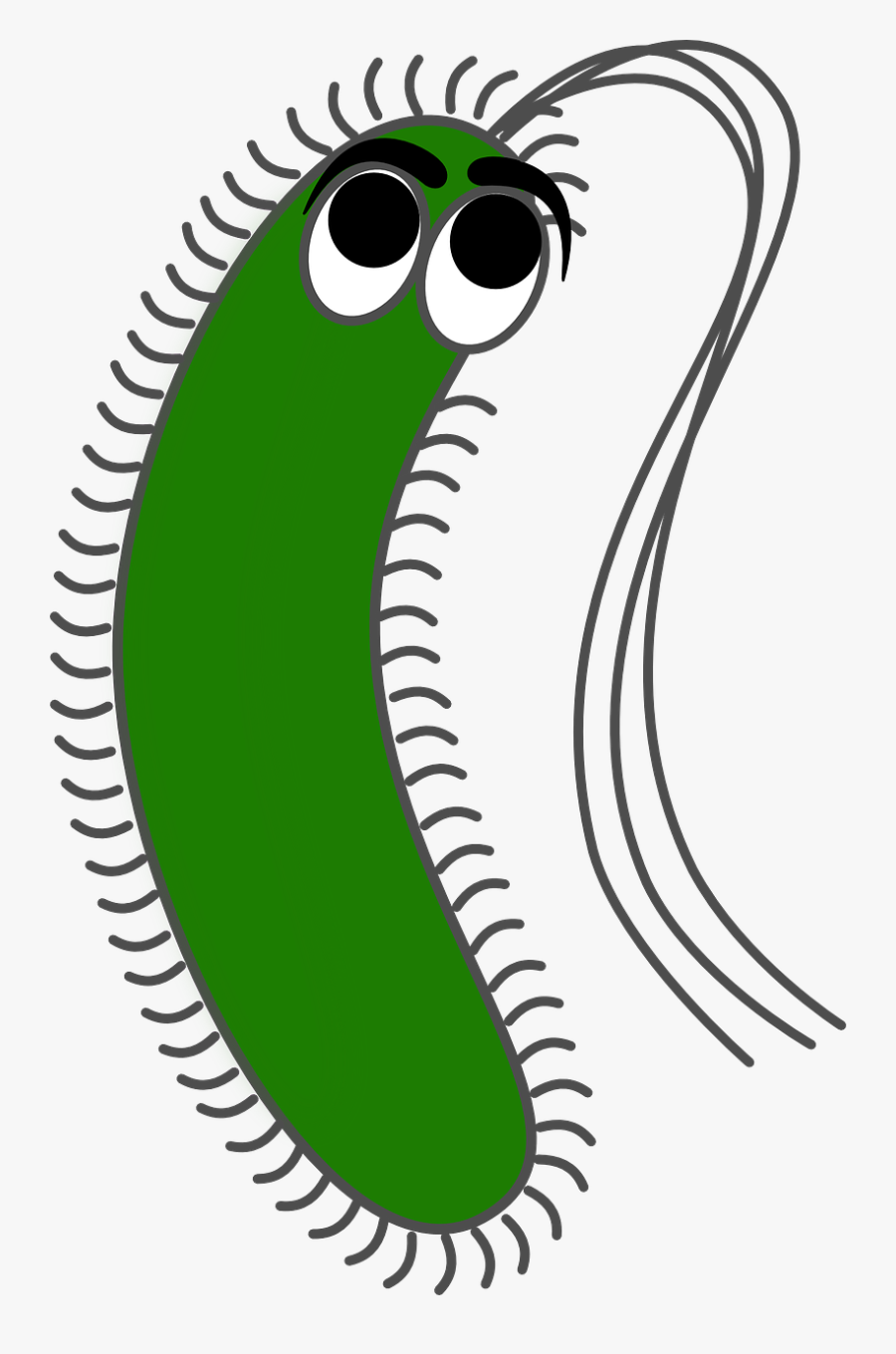 Picture Royalty Free Stock Virus Bacteria Infection - Free Clipart Bacteria, Transparent Clipart