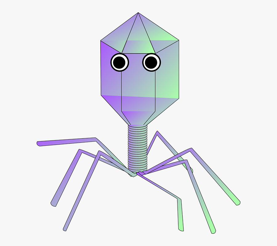 поделка вирус из бумаги. вирус бактериофаг модель своими руками. бактериофаги мульт. бактериофаг 3д модель. бумажки мультфильм.