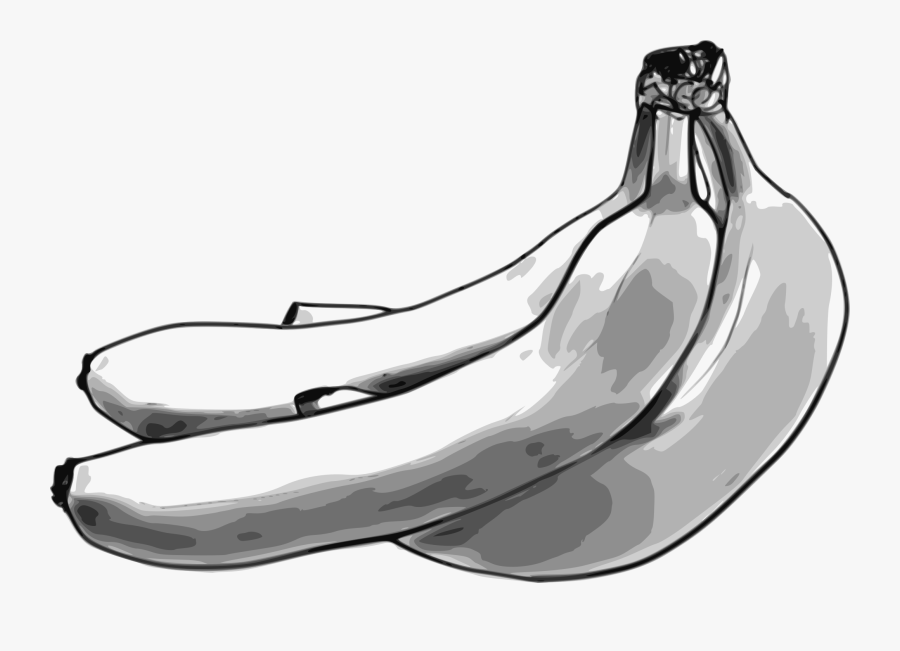 Monochrome Photography,jaw,drawing - Banana Sketch Transparent, Transparent Clipart