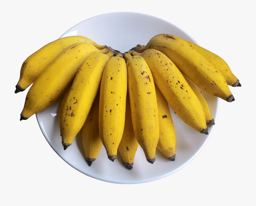 Clip Art Little Bananas - Saba Banana, Transparent Clipart