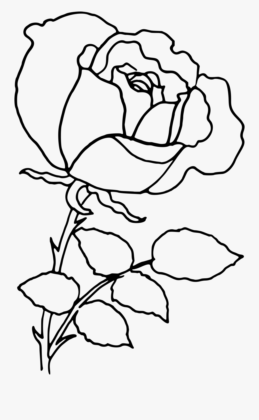 Featured image of post Aesthetic White Rose Outline Black Background / Cute borders black and white.