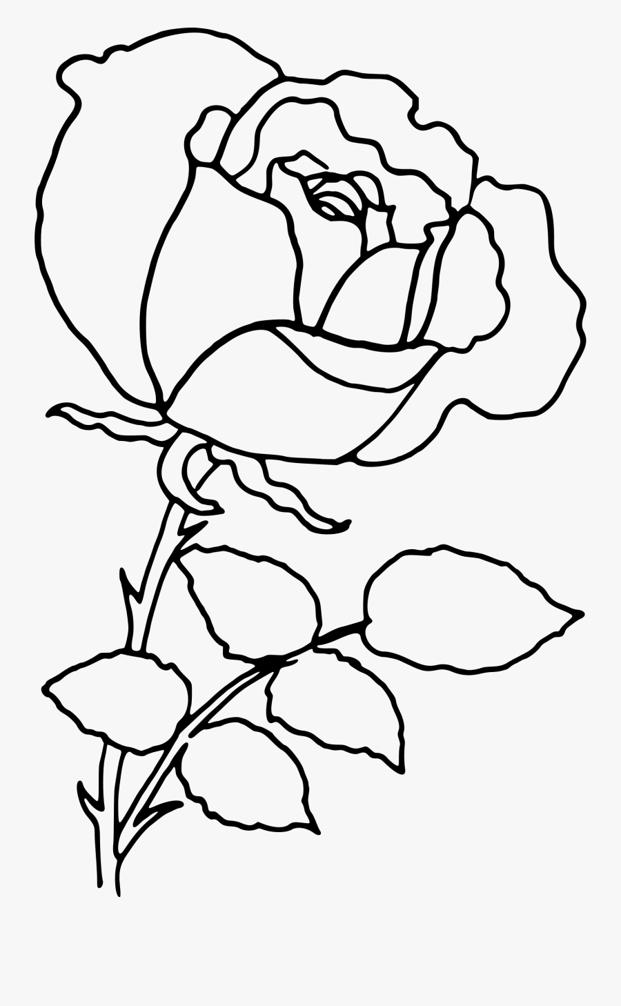 Rose Transparent Images Pluspng - Rose Outline Transparent Background Png, Transparent Clipart