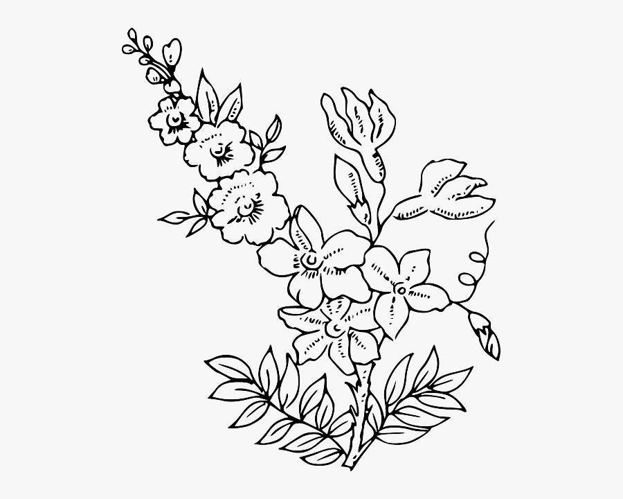 Transparent Daisy Outline Png - Flower Outline Transparent Background , Free Transparent Clipart ...