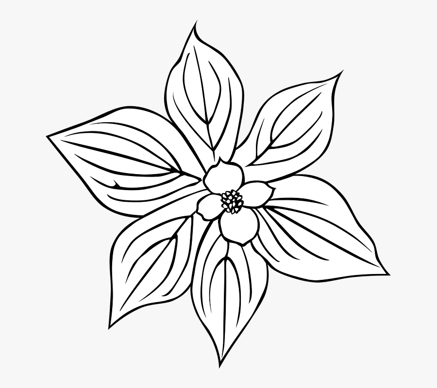 Flower Outline Svg Clip Arts - Flowering Dogwood Coloring Page, Transparent Clipart