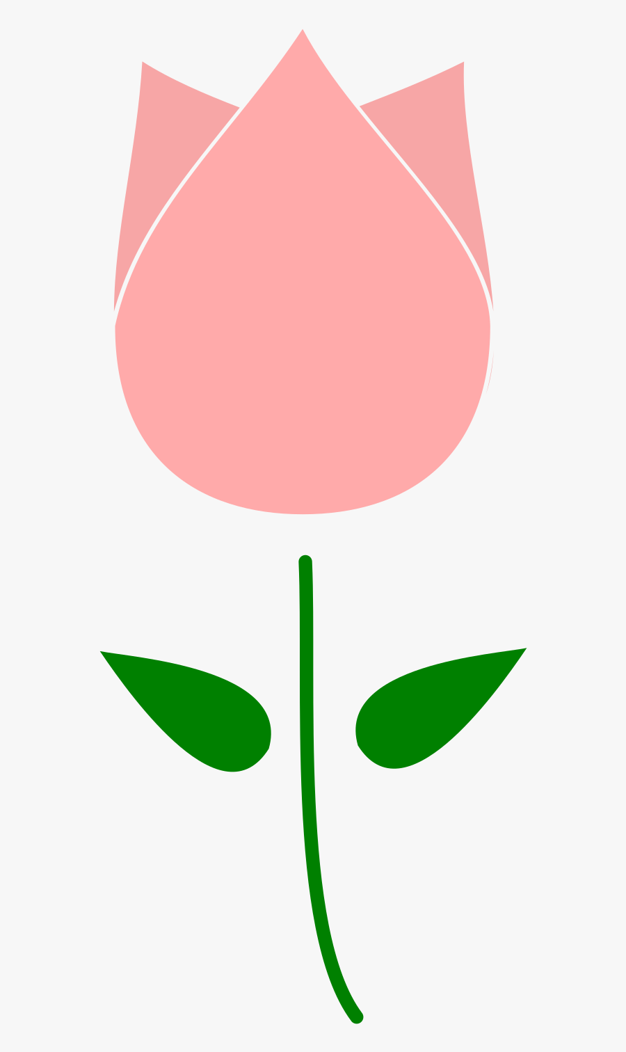 Clipart Tulip Flower - Illustration, Transparent Clipart