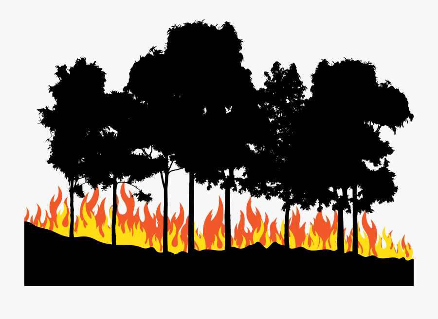 Fire Euclidean Vector - Fire On Woods Clipart, Transparent Clipart